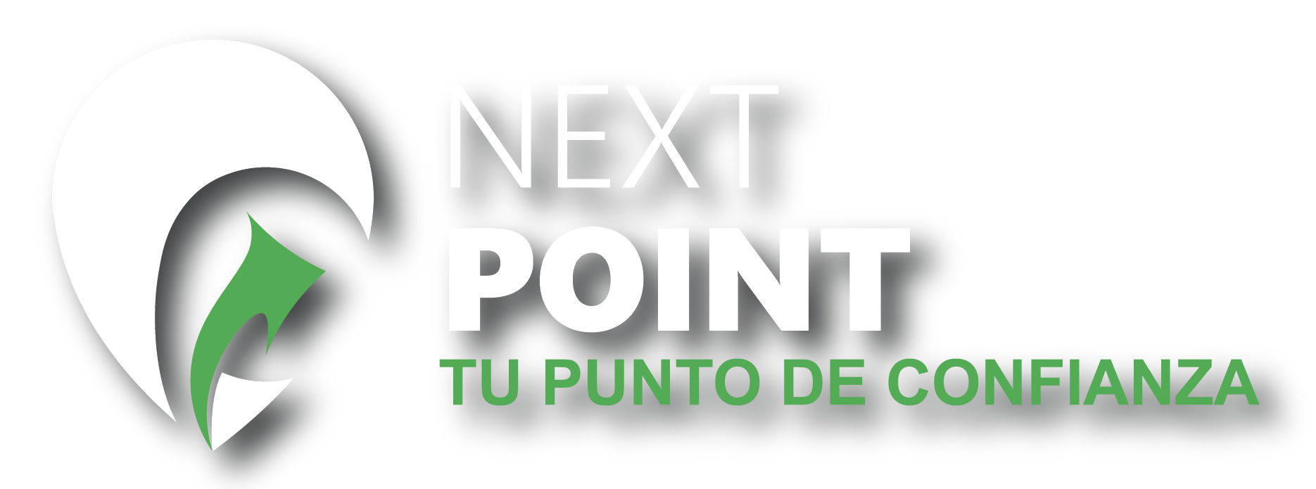 Next Point Logo